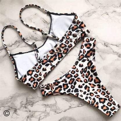 Wild Allure: Leopard Print Two-Piece Bikini Set