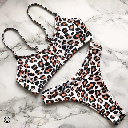 Wild Allure: Leopard Print Two-Piece Bikini Set