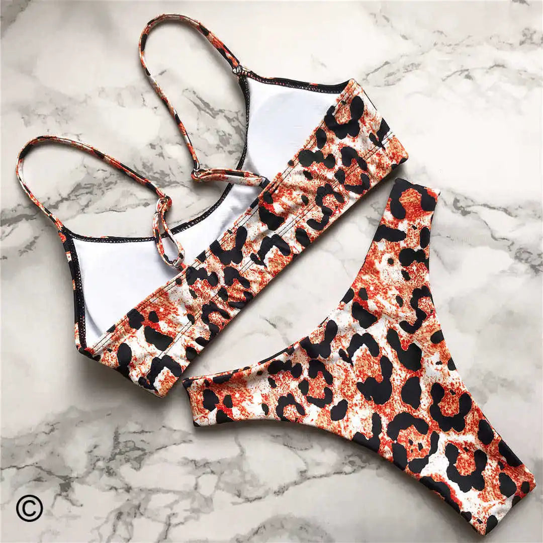 Wild Allure: Leopard Print Two-Piece Bikini Set