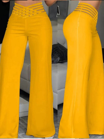 Sophisticated Mesh Flare Pants