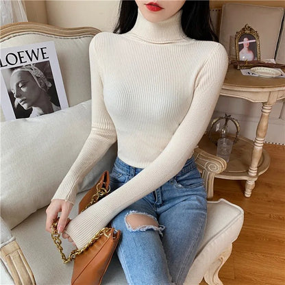 Cozy Knit Turtleneck Sweater