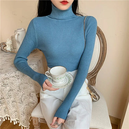 Cozy Knit Turtleneck Sweater